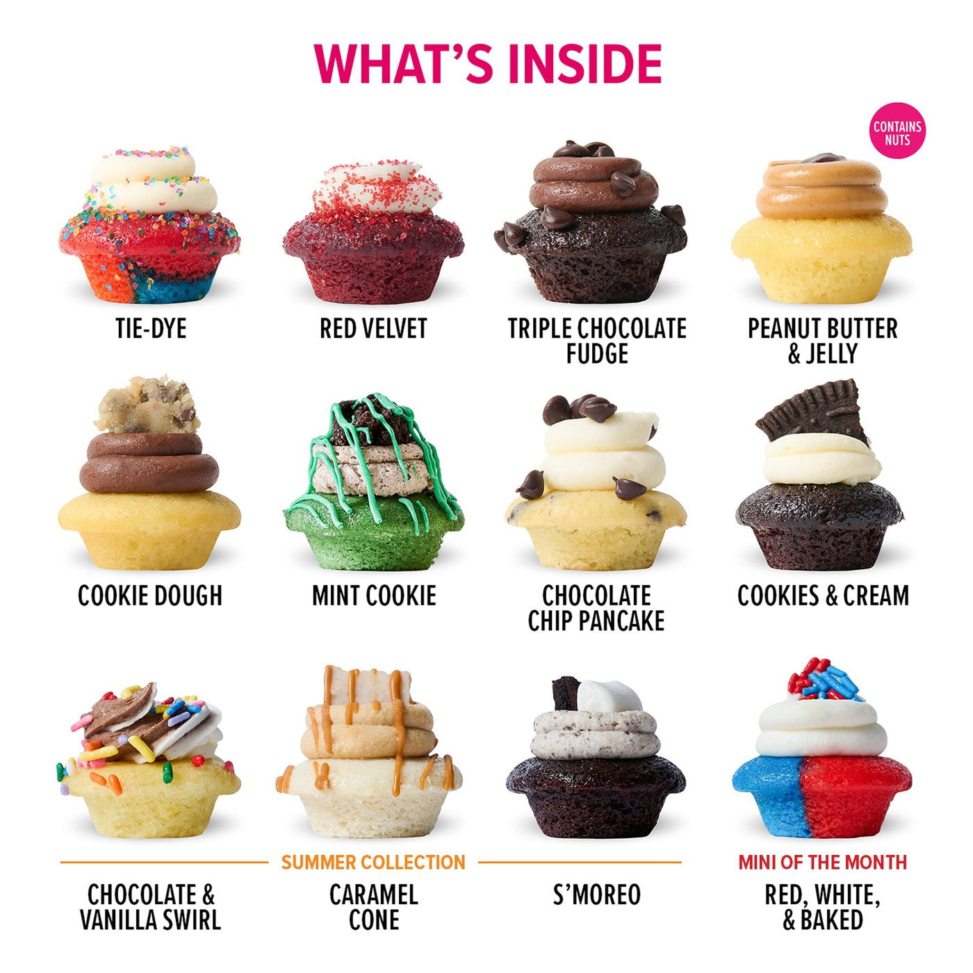 NYC Tourist Cupcakes 25-Pack